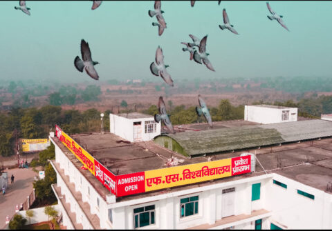 FS-University-Best-Private-University-in-shikohabad-Firozabad-54
